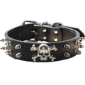 Spiked Studded Dog Collar