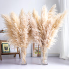 10PCS Tall Pampas Grass