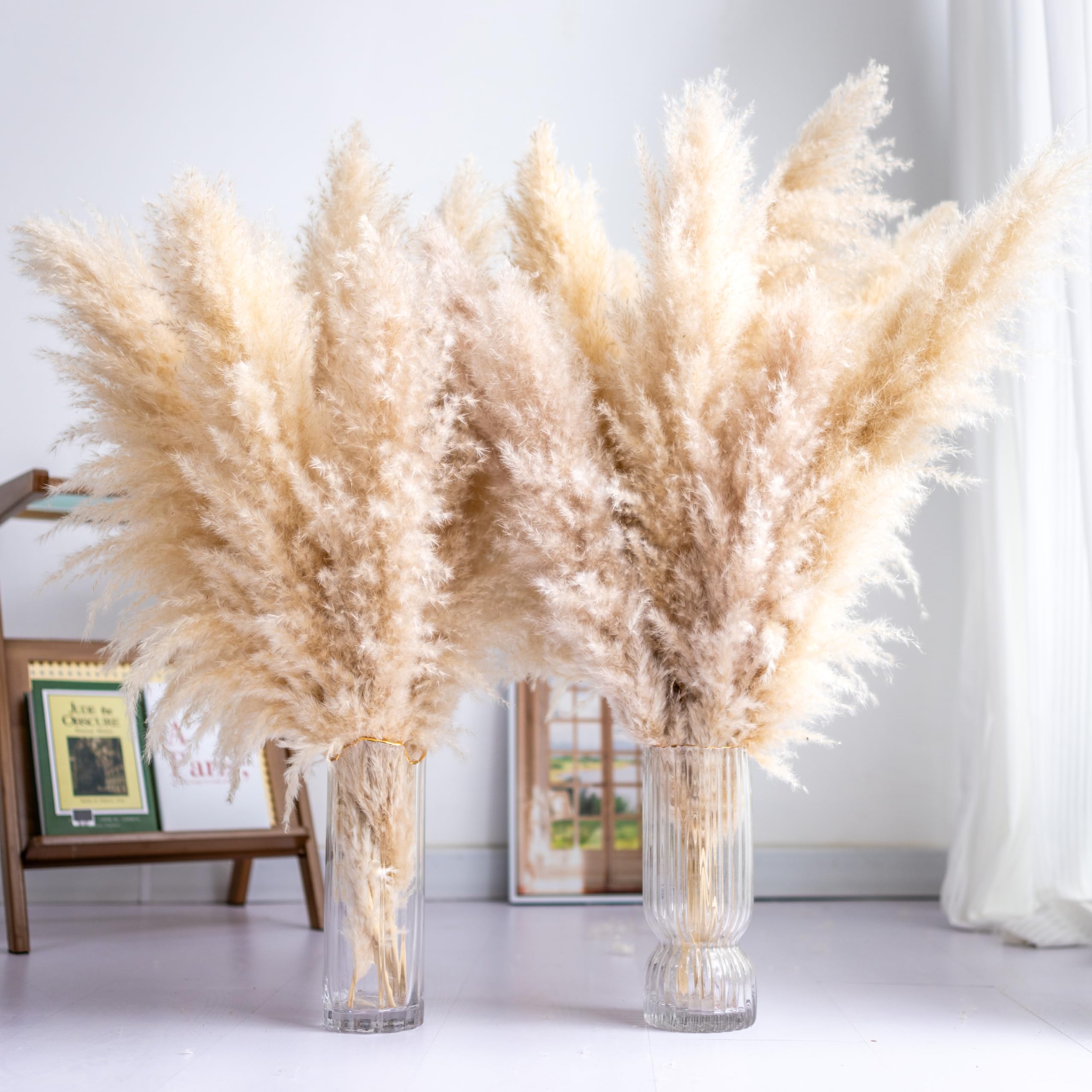 10PCS Tall Pampas Grass